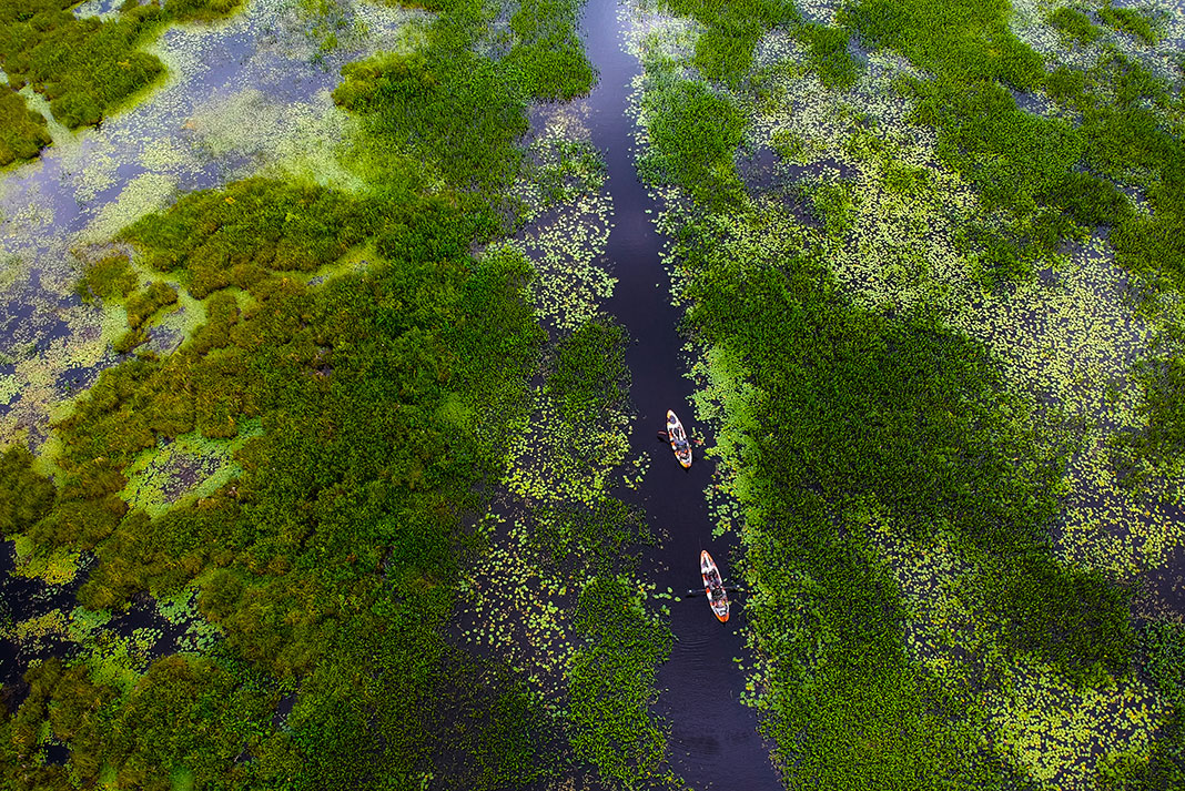 drone shot of a pair of fishing kayaks travelling through milfoil