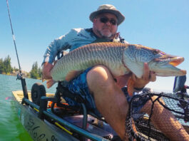man on kayak holds up a muskie caught while fishing in Washington State, United States