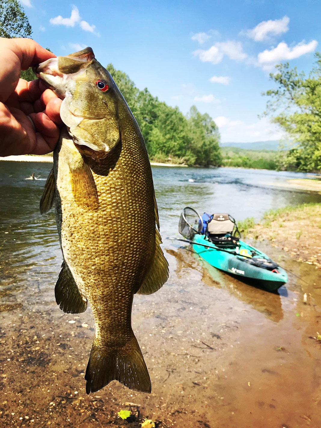person holds up a smallmouth bass in front of a blue beached fishing kayak