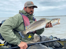 Lance Burgos holds up a speckled trout he has caught while fish tagging