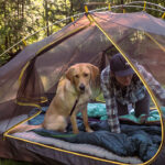 6 Best Tents For Canoe Camping woman and dog sit in a Sierra Designs tent in a sun dappled forest
