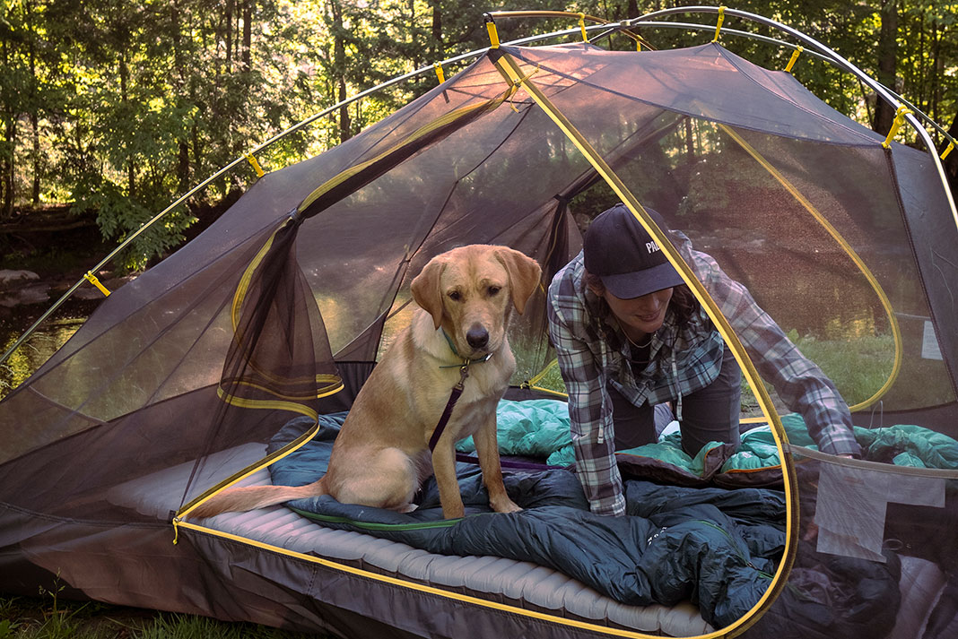 woman and dog sit in a Sierra Designs tent in a sun dappled forest