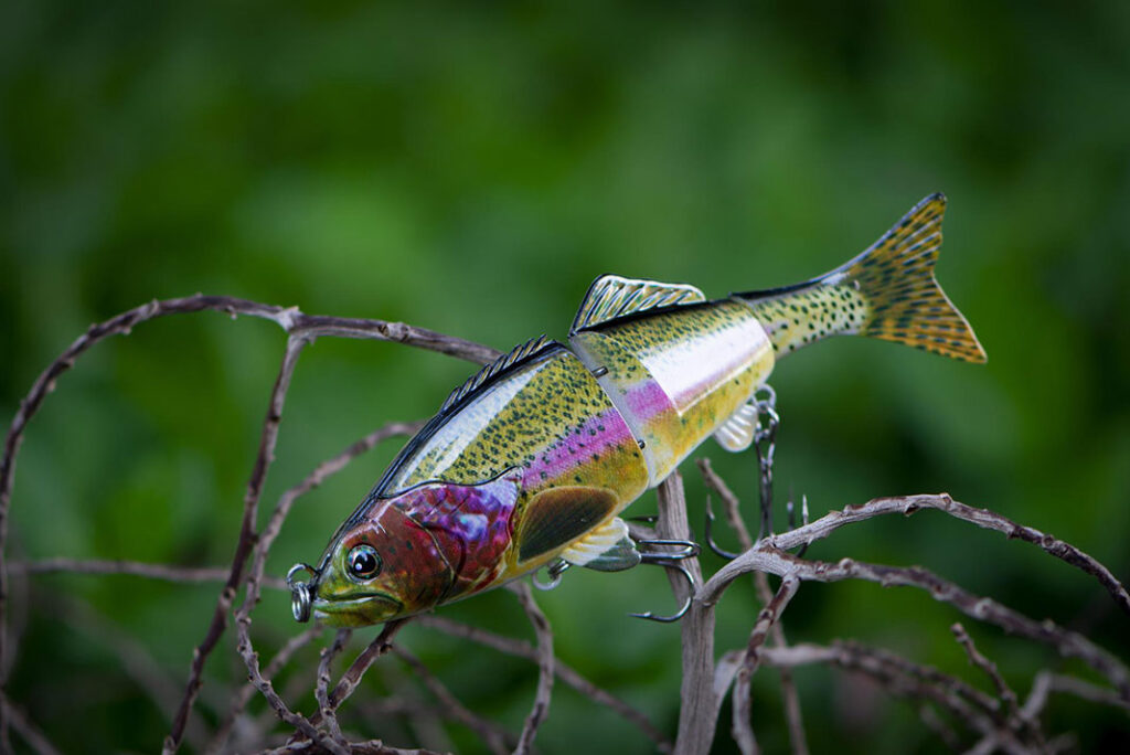 Fish can be. Fishing Lures. Рыбы Ленинградской области. Рыбки для рыбалки. Рыбы Ленинградской области фото и названия.