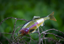 rainbow trout lure hooked on some plants