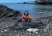 Man With Marlin Caught Off Hawaii