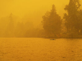 a paddler kayaks in the hazy yellow wildfire light of the summer season