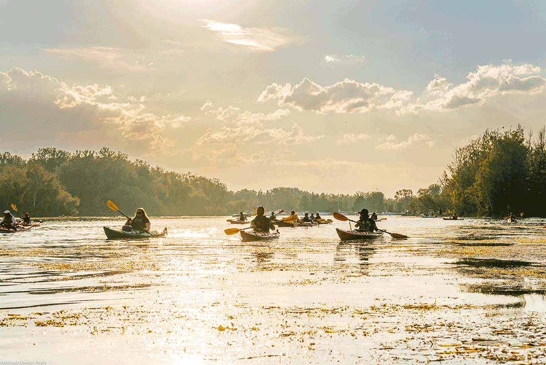 a group of kayakers paddle in the sunny weather