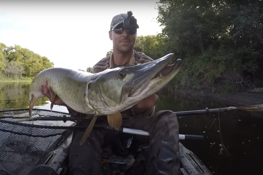 Angler with Muskie
