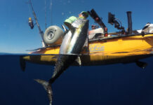 man in yellow Hobie kayak hauls a large fish caught by pelagic jig