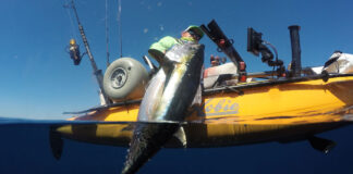 man in yellow Hobie kayak hauls a large fish caught by pelagic jig
