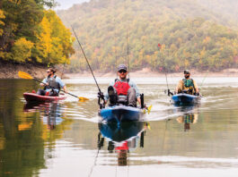 three men pedal fishing kayaks toward the camera on a fall lake