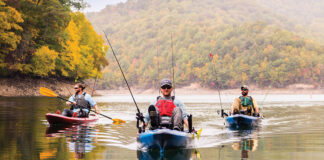 three men pedal fishing kayaks toward the camera on a fall lake