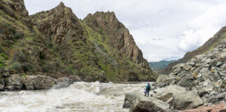 woman in whitewater paddling gear scouts a rapid on the Salmon River
