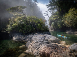 a person kayaking through a rocky, lush wilderness scene