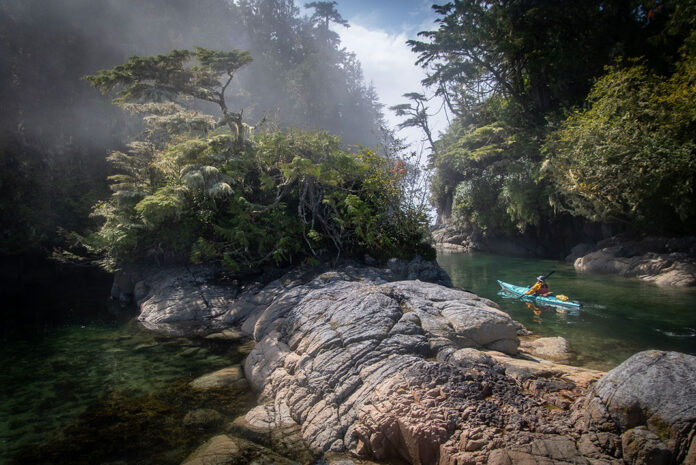 a person kayaking through a rocky, lush wilderness scene