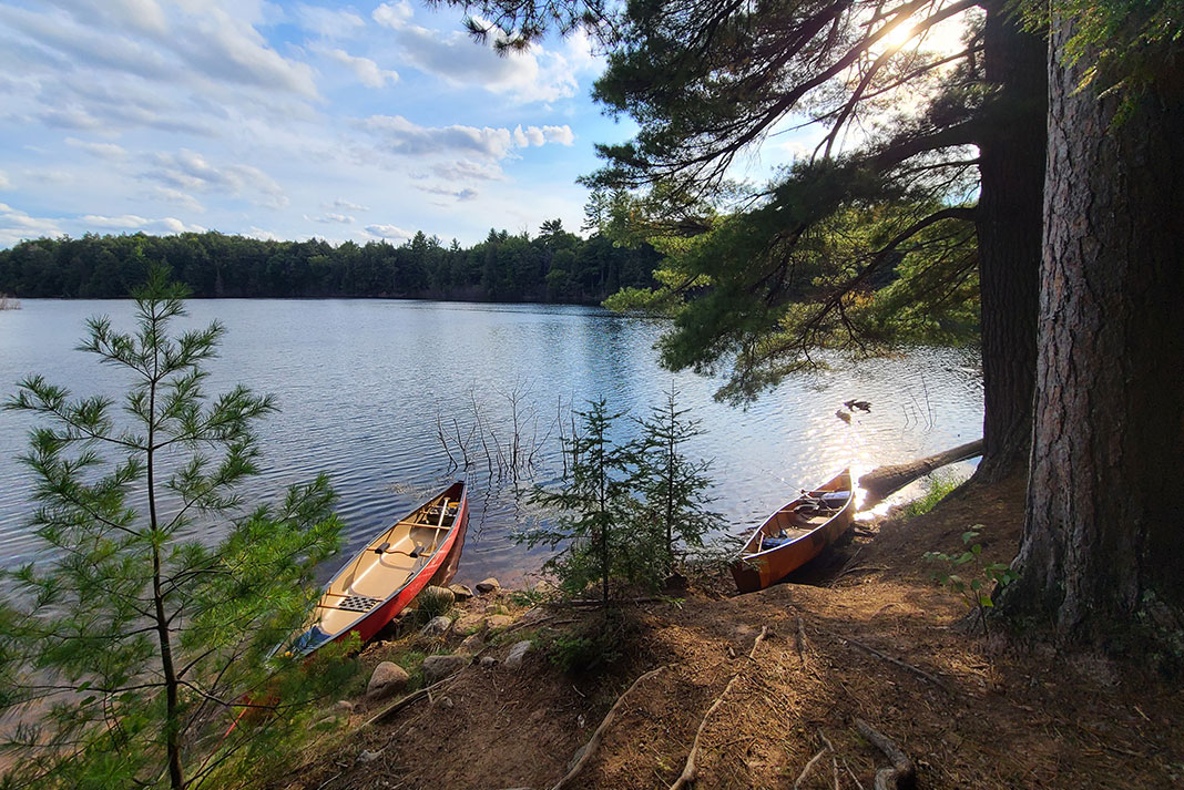 Two canoes wait in the water near shore of a lake.