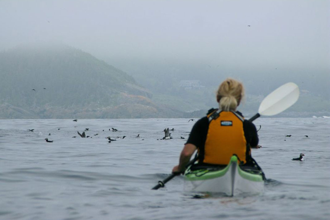 a sea kayaker stares into the fog that covers most of the shoreline