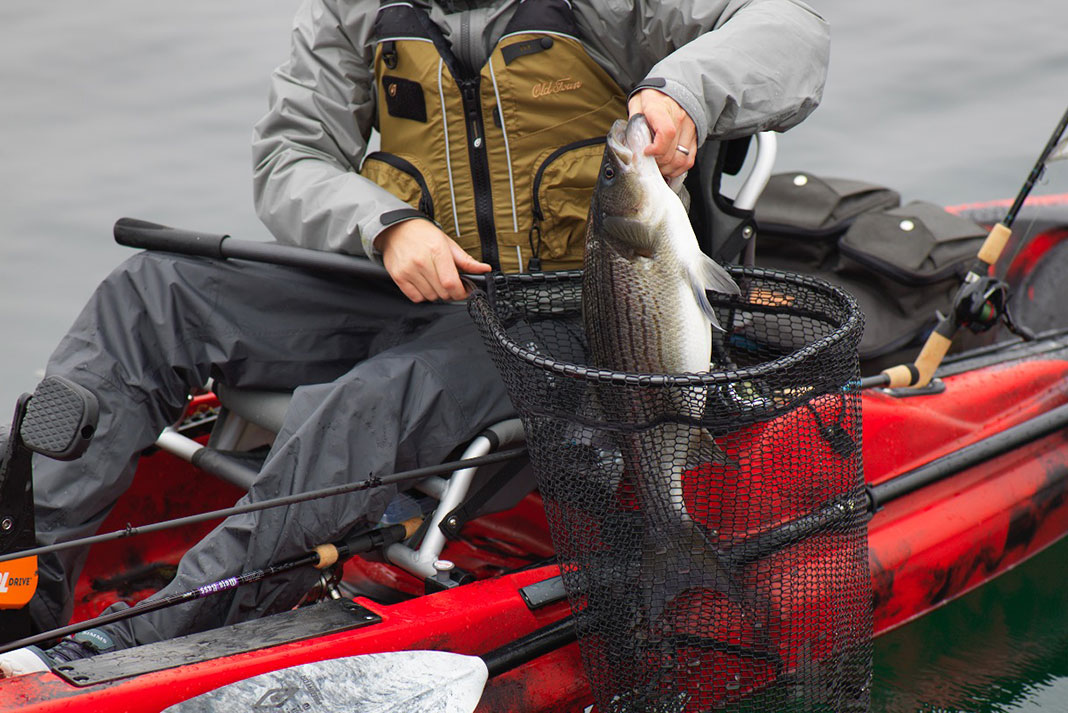 winter kayak angler holds up catch from fishing net