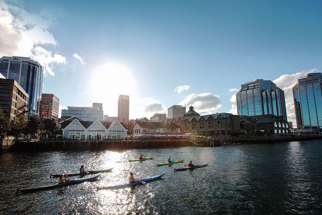 a group of kayakers paddle past the waterfront in Halifax, Nova Scotia