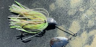 a spinnerbait bass fishing lure, one of the best ways to catch bass in windy conditions
