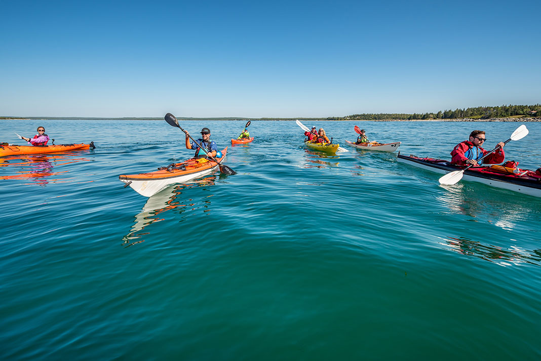 Group of sea kayakers paddling with shoreline far in the background.