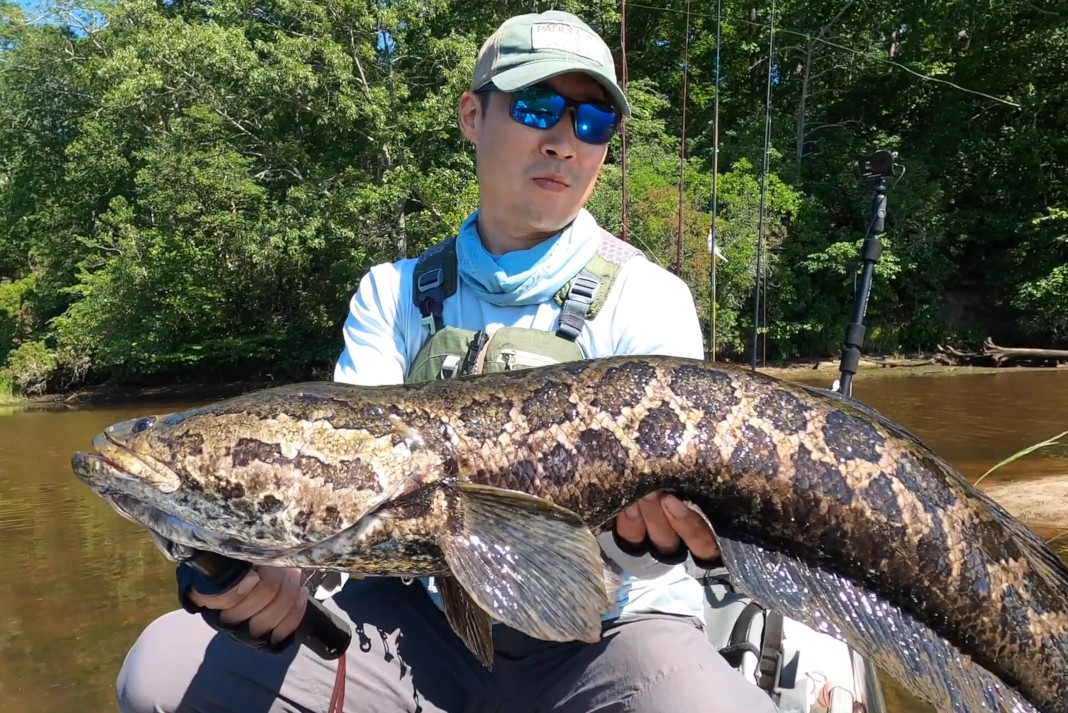 Rob Choi with snakehead