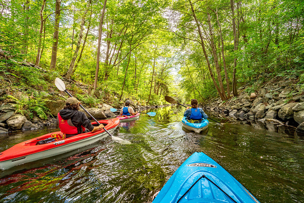 People paddle recreational kayaks on narrow waterway hemmed in by trees.
