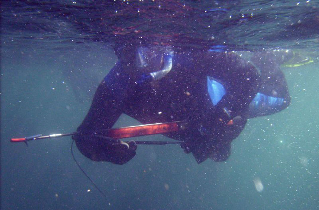 spearfisherman underwater with speargun