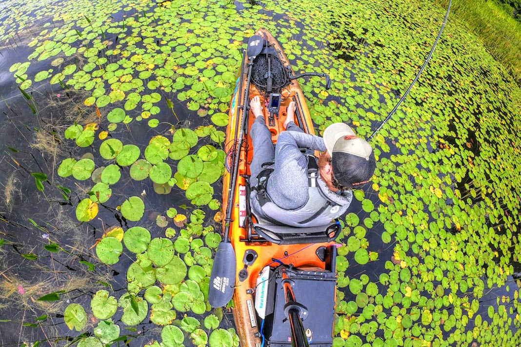 Man reeling in fish from sit-on-top kayak, floating over lily pads