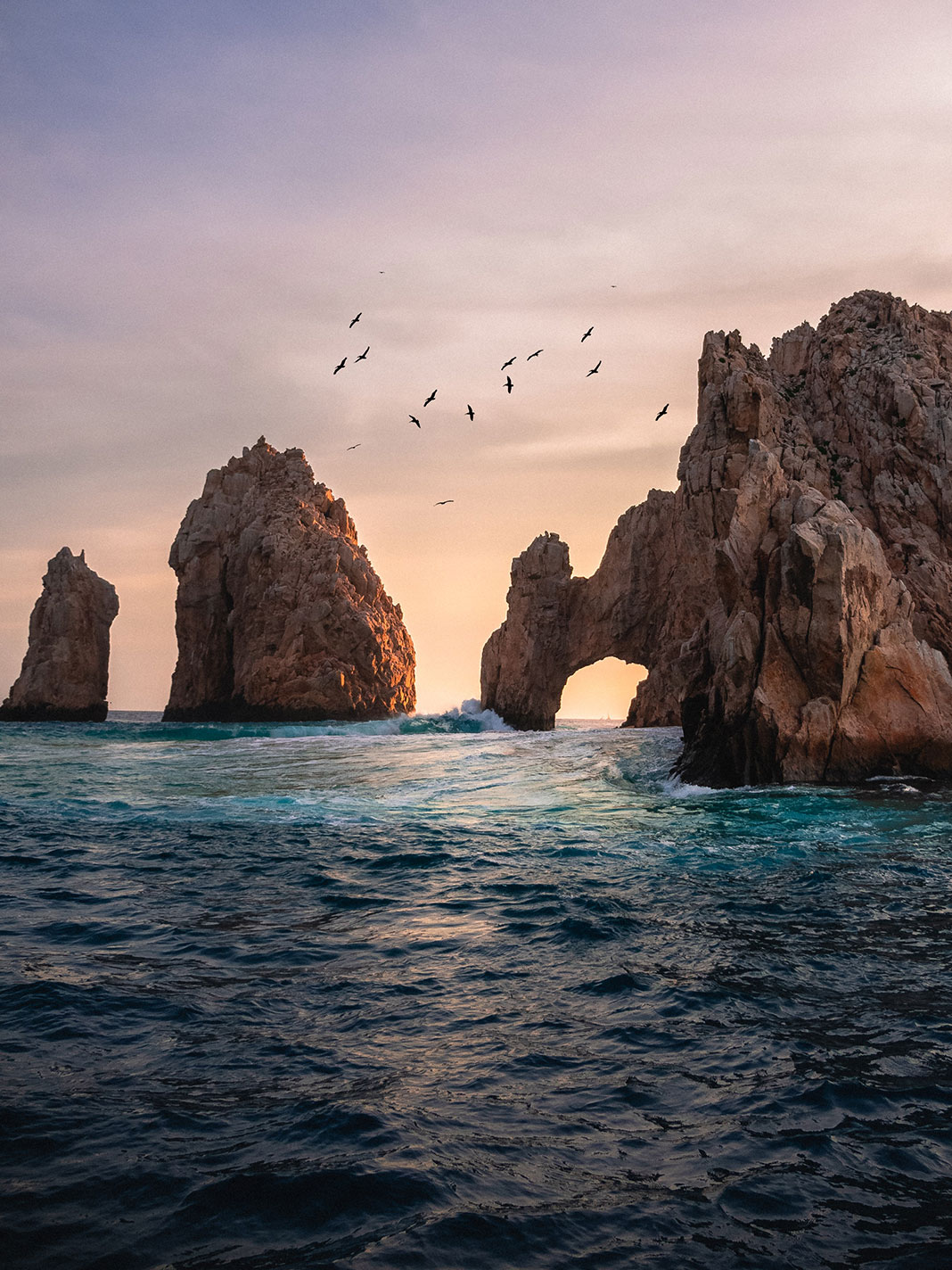 Birds wheel over the rocks and ocean at Cabo San Lucas in Baja Mexico at dusk
