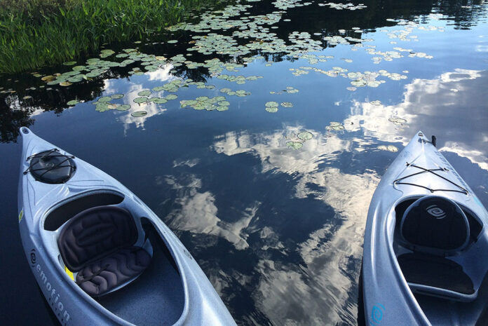 two Emotion kayaks sit in the water near grass and lilypads