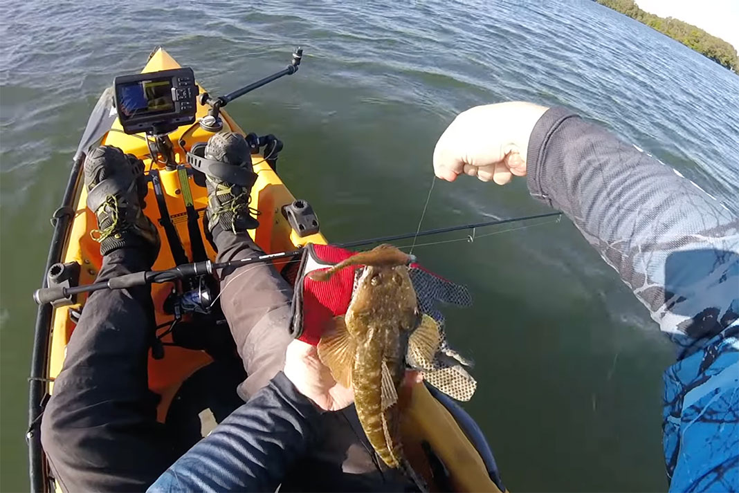 kayak angler in Australia catches dusky flathead fish