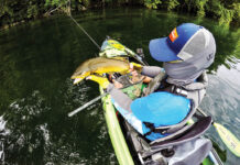 Big brown trout draw anglers to the White River, in Arkansas, kayak anglers included