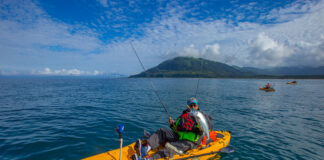 man in a yellow fishing kayak holds up a coho, or silver salmon, in front of the green, hilly Pacific coast with two other kayaks in the background