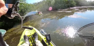 Florida Keys tarpon flips and almost lands in kayak