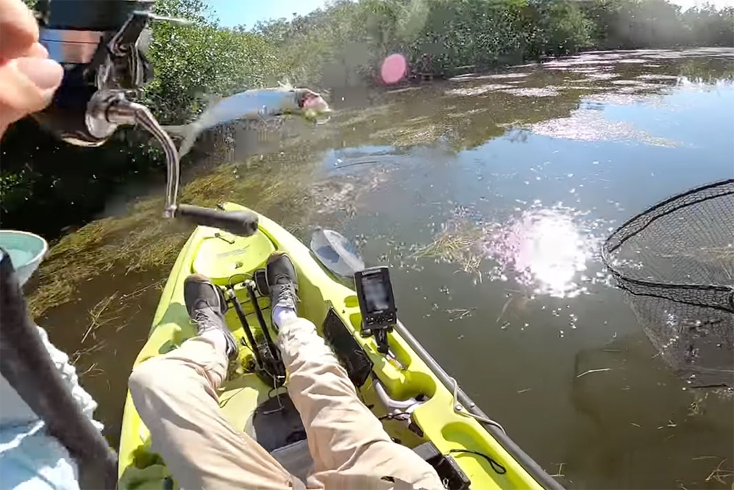 Florida Keys tarpon flips and almost lands in kayak