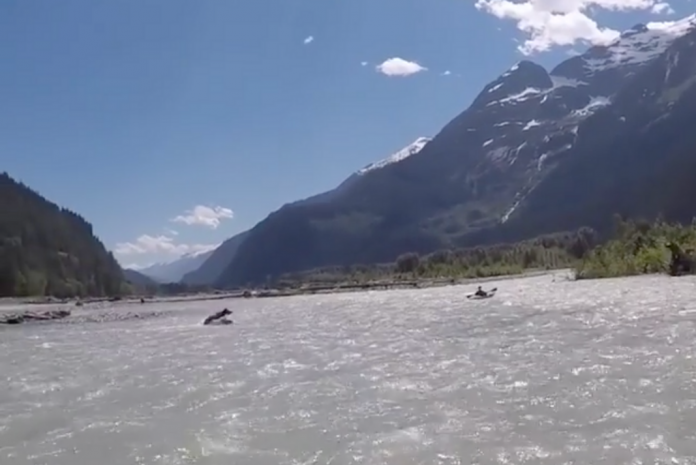 mount bundet Trænge ind Kayaker Chased By Grizzly Bear (Video) - Paddling Magazine