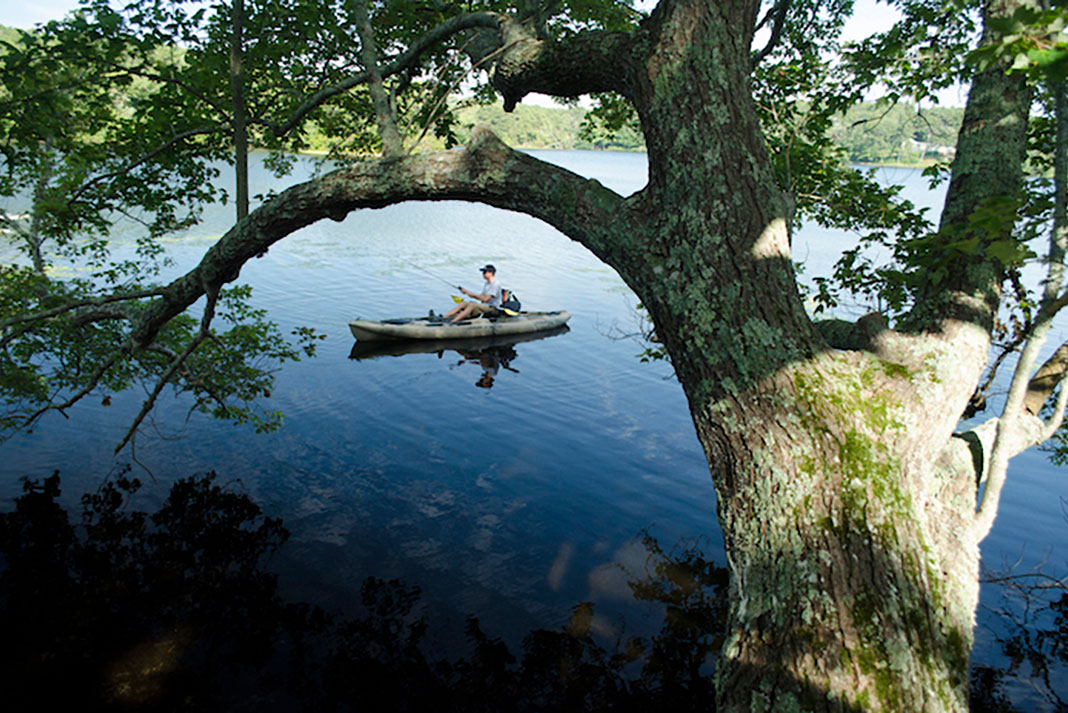peaceful kayak fishing under a riverbank tree