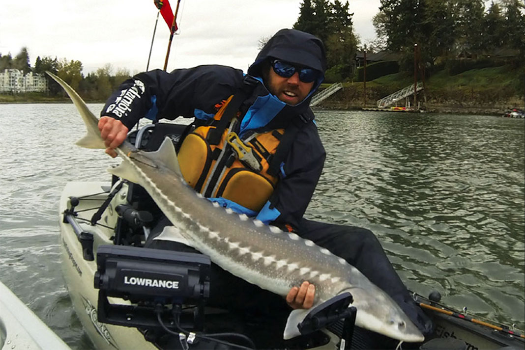 kayak fishing guide holds up a white sturgeon caught in winter in the Pacific Northwest