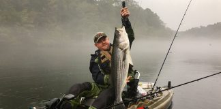 man holds up striped bass caught while kayak fishing at lake ouachita