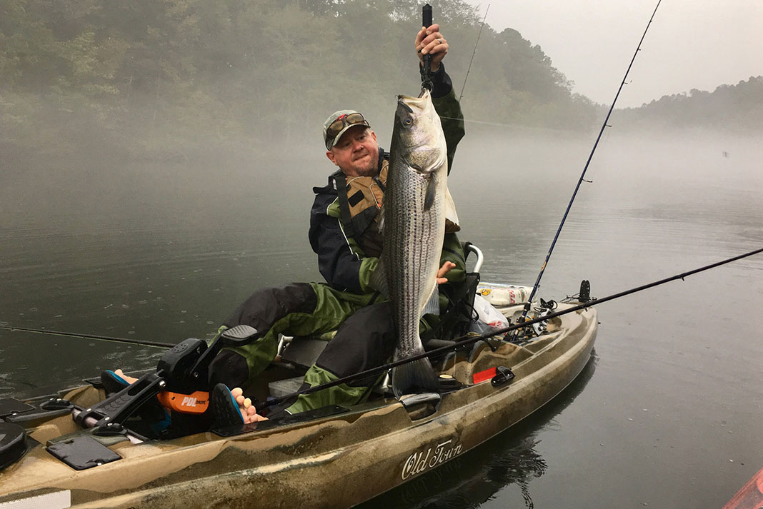 man holds up striped bass caught while kayak fishing at lake ouachita