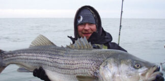man holds up large striped bass caught while winter fishing as he tries to stay warm