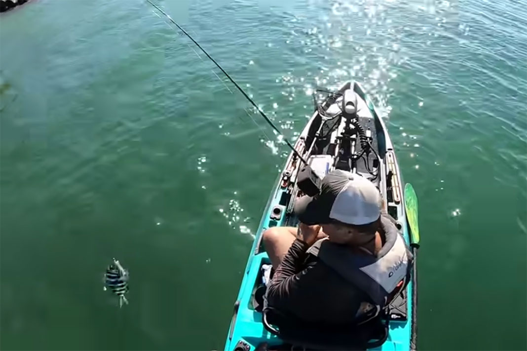 kayak angler reels in a sheepshead caught in Florida