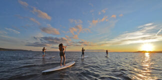 a group of people on the water on standup paddleboards of various sizes