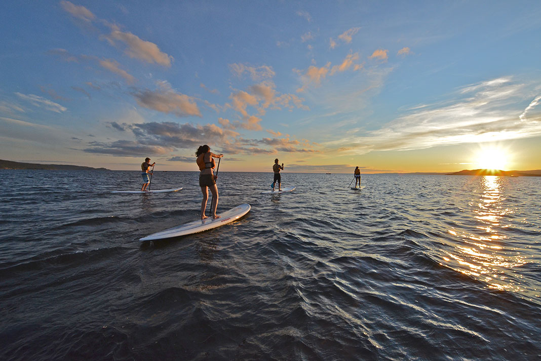 a group of people on the water on standup paddleboards of various sizes