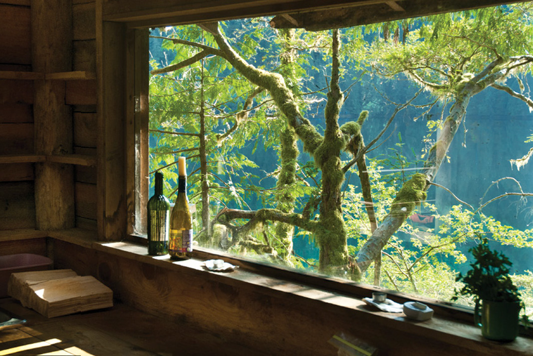 the view outside Sander Jain's remote cabin on Vancouver Island before his bigfoot encounter