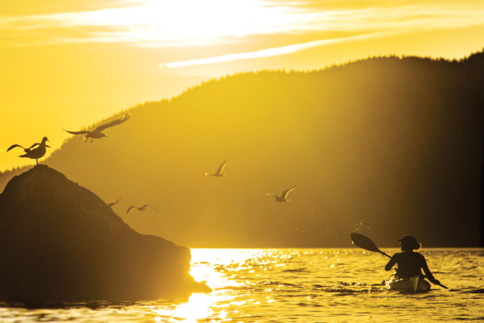 person kayaking by rocks and seagulls in the sunshine during a kayak commute