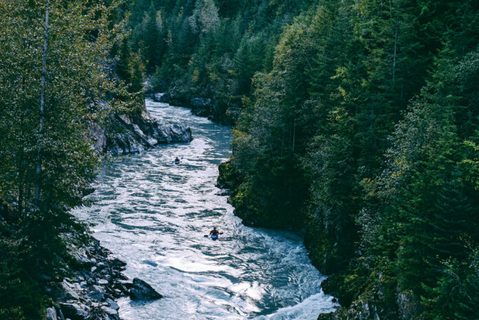 a person kayaks down a stretch of rapids on a river bordered by dense trees