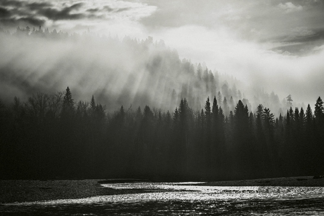 black and white photo of sun shining down over a dark and misty forest river