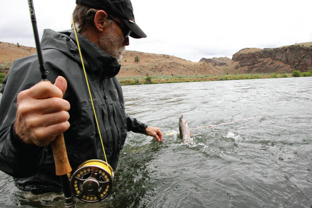 wade fisherman fly fishing in an Oregon river for trout using stonefly flies